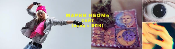 бошки Алексин