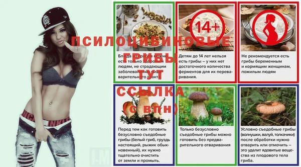 бошки Алексин