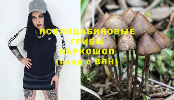 экстази Алексеевка