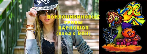 дурь Алзамай