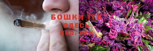 бошки Алексин