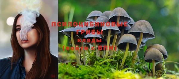 бошки Алексин