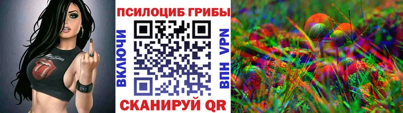 mega tor  Гурьевск  Галлюциногенные грибы Psilocybe 