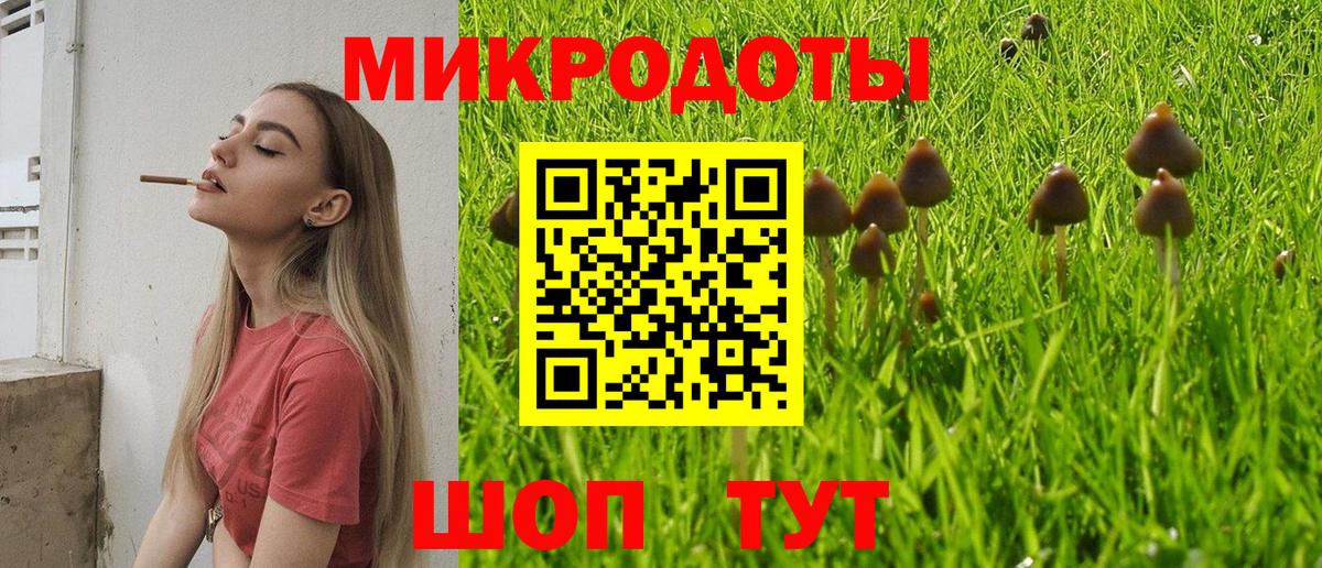 Псилоцибиновые грибы GOLDEN TEACHER Гурьевск